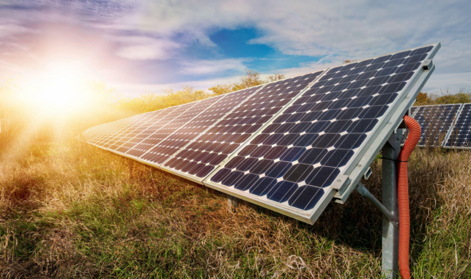 綠色“雙碳”服務